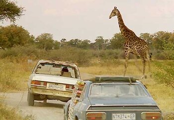 Afrika