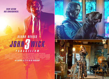 Les sorties ciné de la semaine (22 mai 2019)