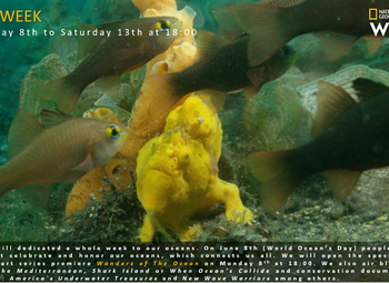Nieuw in het Family-pakket van Proximus: National Geographic Wild - Ocean Week