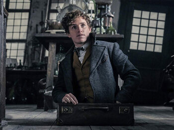 Fantastic Beasts : The Crimes Of Grindelwald