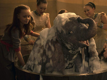 Dumbo