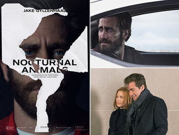 Nocturnal Animals
