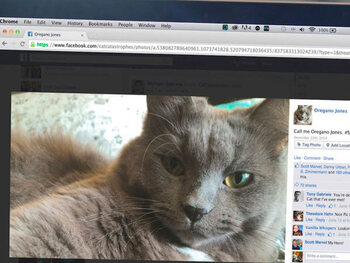 Facebook