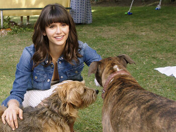 Dog Days