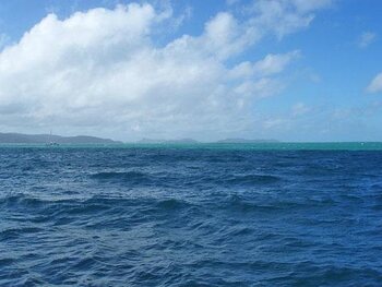 Open Water