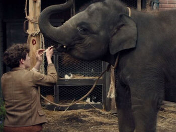 Zoo