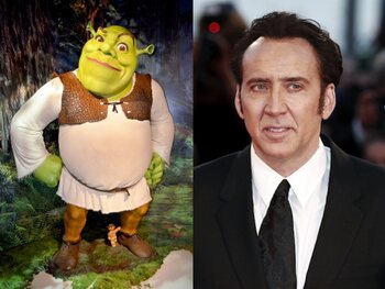Nicolas Cage - Shrek