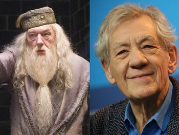 Ian McKellen - Harry Potter