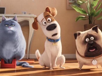 3. Corgi