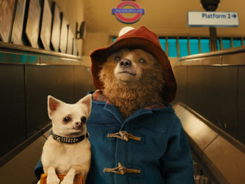 Paddington