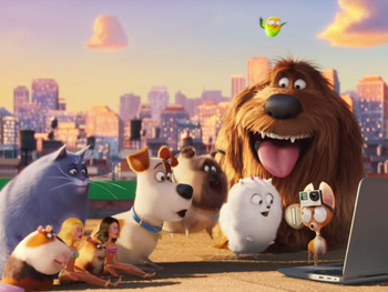 The Secret Life Of Pets (Comme des bêtes)