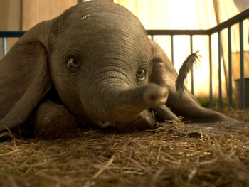 Dumbo (2019)