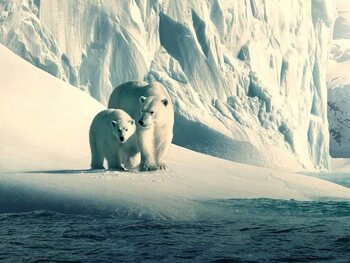 Our Planet