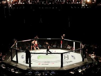 Ultimate Fighting Championship: de 10 blikvangers