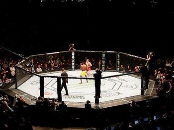 Alexander Volkanovski