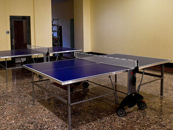 Ping-pong