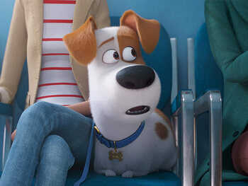 The Secret Life of Pets 2 / Huisdierengeheimen 2
