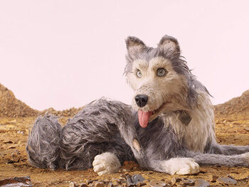 Isle of Dogs