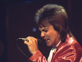 David Cassidy (12/04/1950 - 21/11/2017)