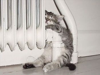 Bien au chaud