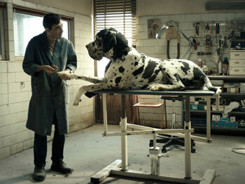 Dogman