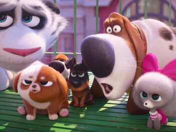 The Secret Life of Pets 2 / Huisdierengeheimen 2