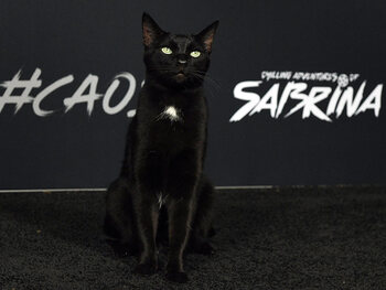 Salem(s)