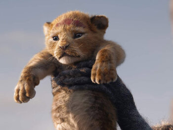Top-5 meest bezochte films in de bioscoop deze week