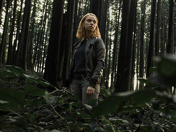 The Hollow Child