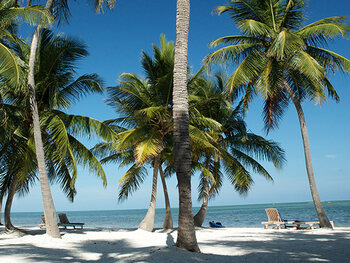 De Florida Keys: prachtig, exotisch, bloedheet