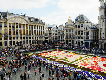 Brussels (Arno)