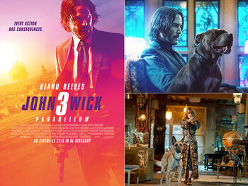Les sorties ciné de la semaine (22 mai 2019)