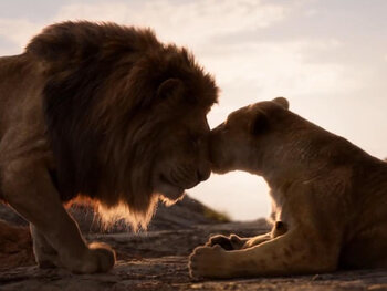 Le Roi lion