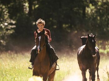 Out Stealing Horses