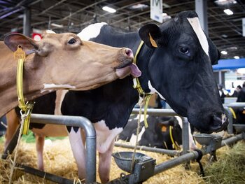 Cowspiracy (2014)