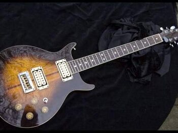 Washburn 22 series Hawk (Bob Marley)