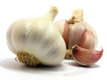 Knoflook