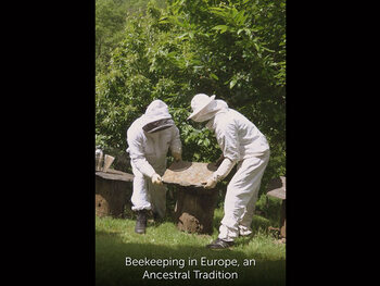 "Apiculteur en Europe, une tradition ancestrale"