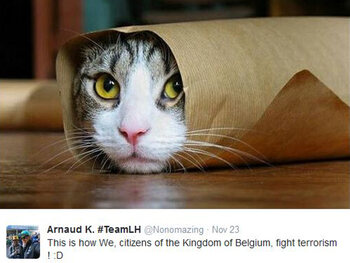 Cats Of Brussels L Humour Belge Desamorce Le Terrorisme