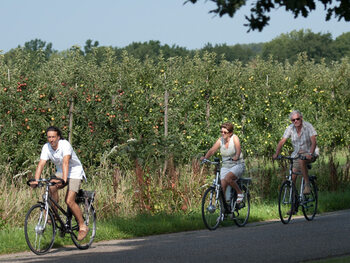 Het Fruitige Haspengouw