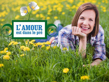 Le divertissement