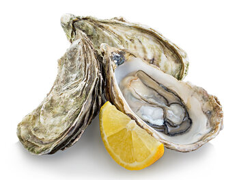 Oesters