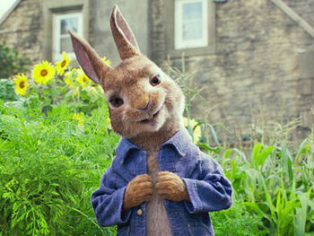 Pierre Lapin