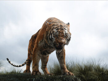 Shere Khan