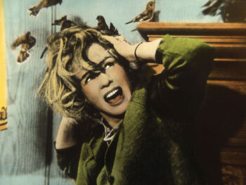 The Birds