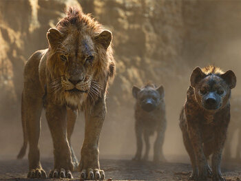 Scar