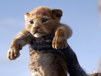 The Lion King