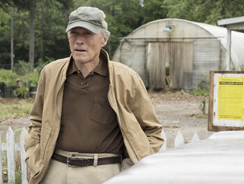 The Mule