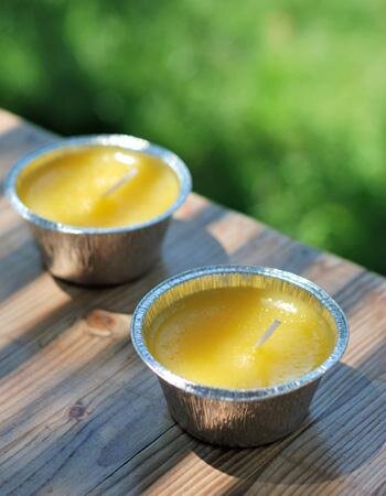 Citronella